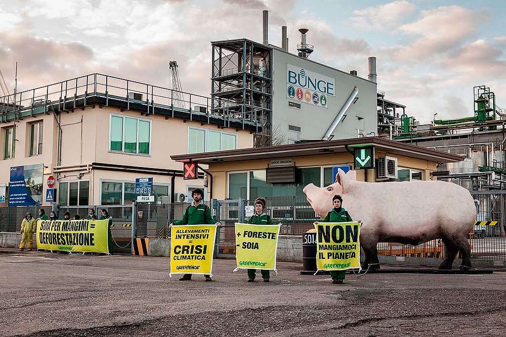 greenpeace