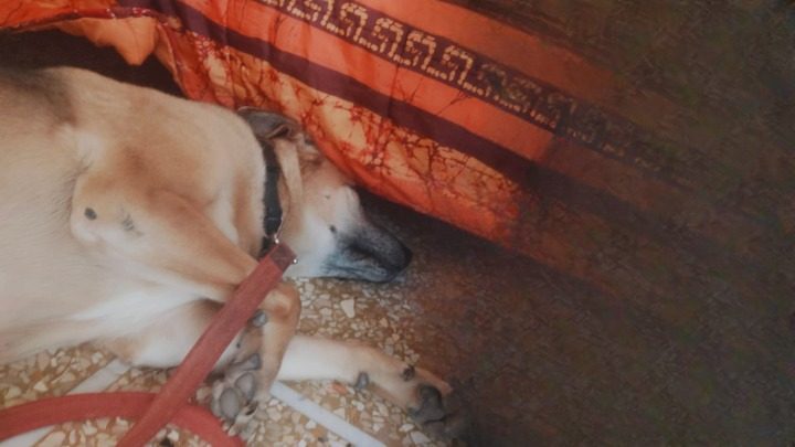 Carla si gode il caldo della stanza