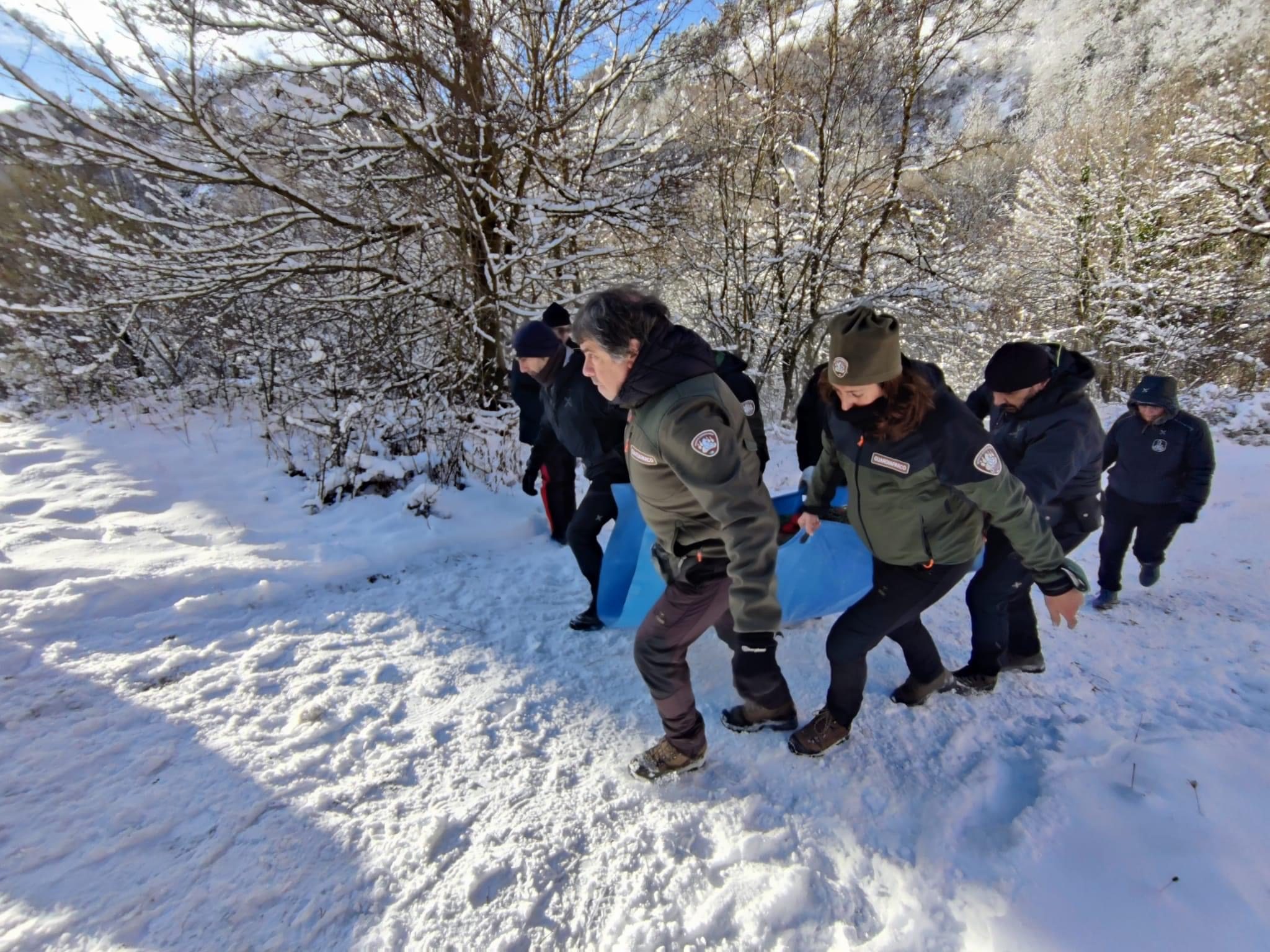 Parco Nazionale Abruzzo, Lazio e Molise