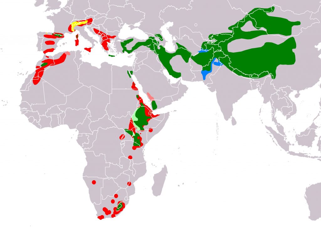 Areale storico del gipeto. In verde e blu le aree dov’è attualmente presente con popolazioni primarie; in rosso le aree in cui si è estinto ed in giallo le zone di reintroduzione.