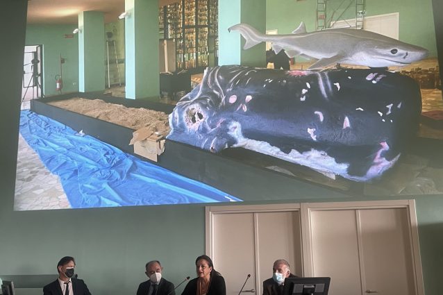 Inaugurazione Museo Darwin-Dohrn