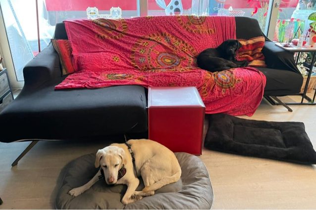 Lola e Lù