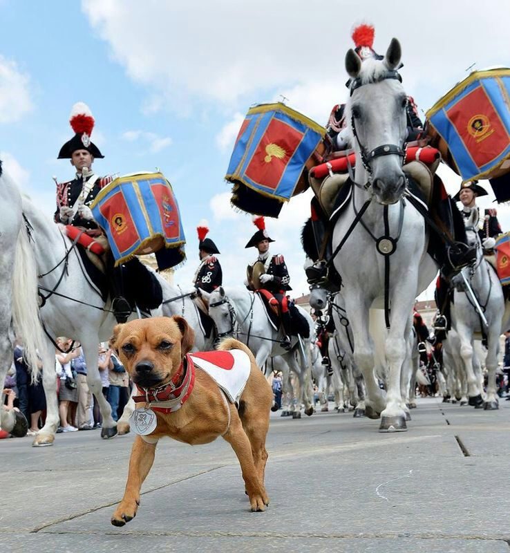 Briciola Roma mascotte