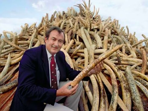 Richard Leakey davanti ad una montagna di avorio confiscato