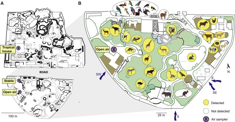 In viola i punti di campionamento presso lo zoo di Copenaghen. In giallo le specie identificate grazie alle tracce di DNA presenti nell’aria. Lynggaard et al., 2022