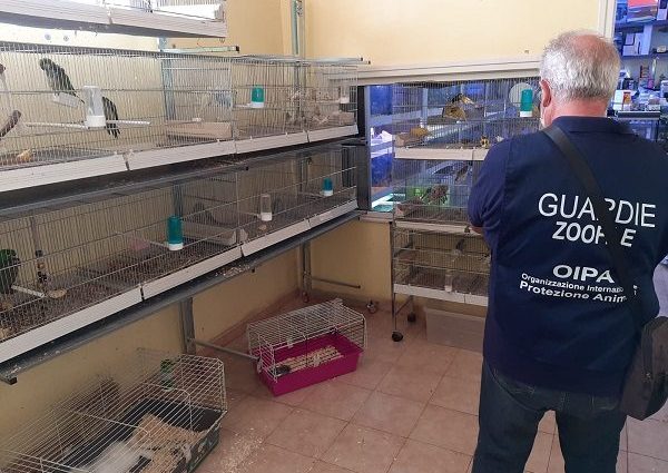 guardie zoofile oipa roma negozi