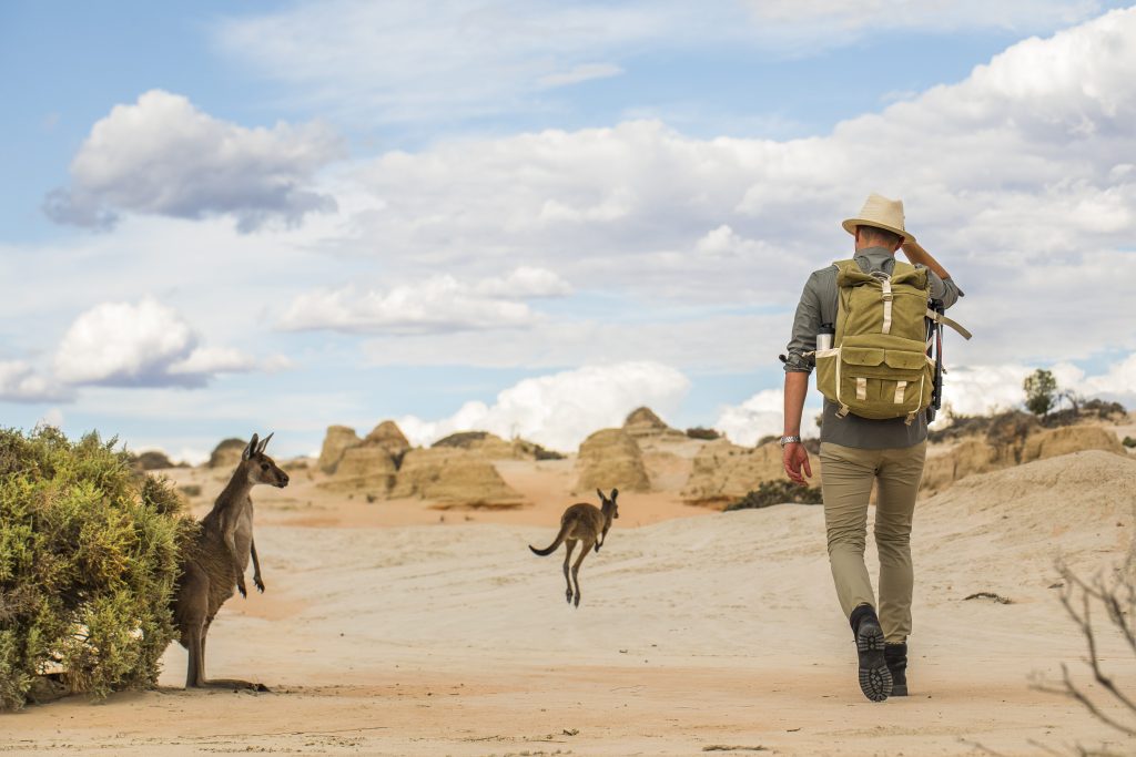 Due specie di mammiferi diffusi sul continente australiano. La prima è un canguro marsupiale e la seconda è l’invasivo Homo sapiens…