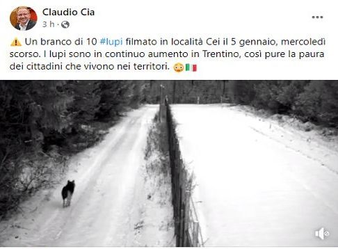 Il post (poi rimosso) del consigliere Claudio Cia