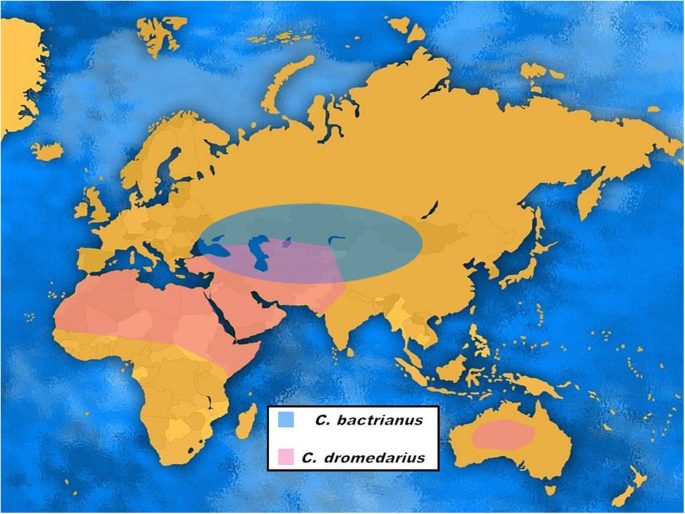 Areale di distribuzione delle due specie analizzate. Notate la sovrapposizione degli areali nella regione mediorientale