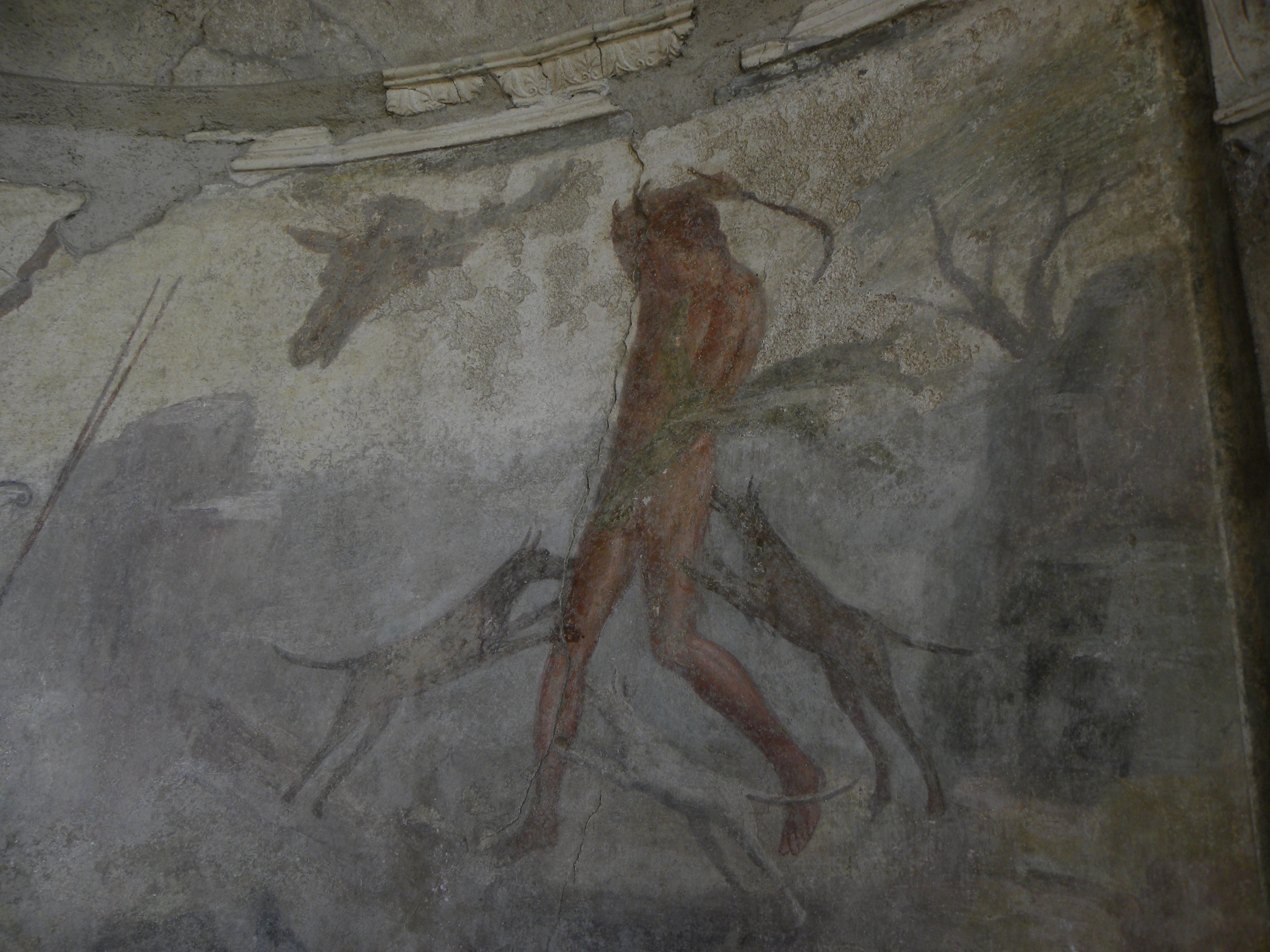 Affresco Atteone casa del Menandro (2)