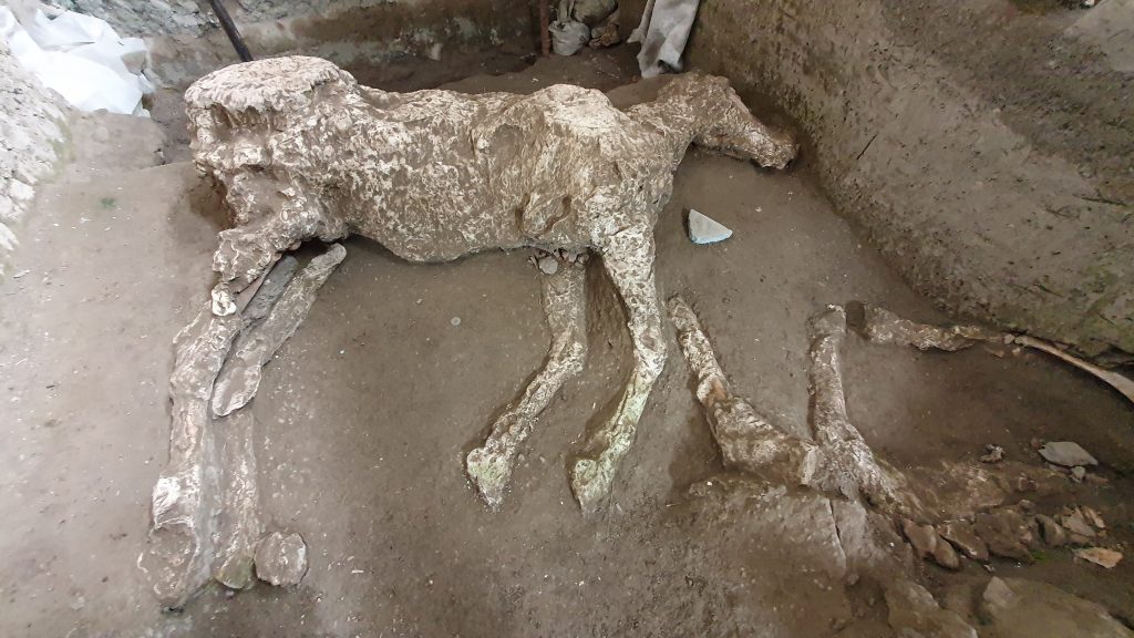 cavallo pompei 4