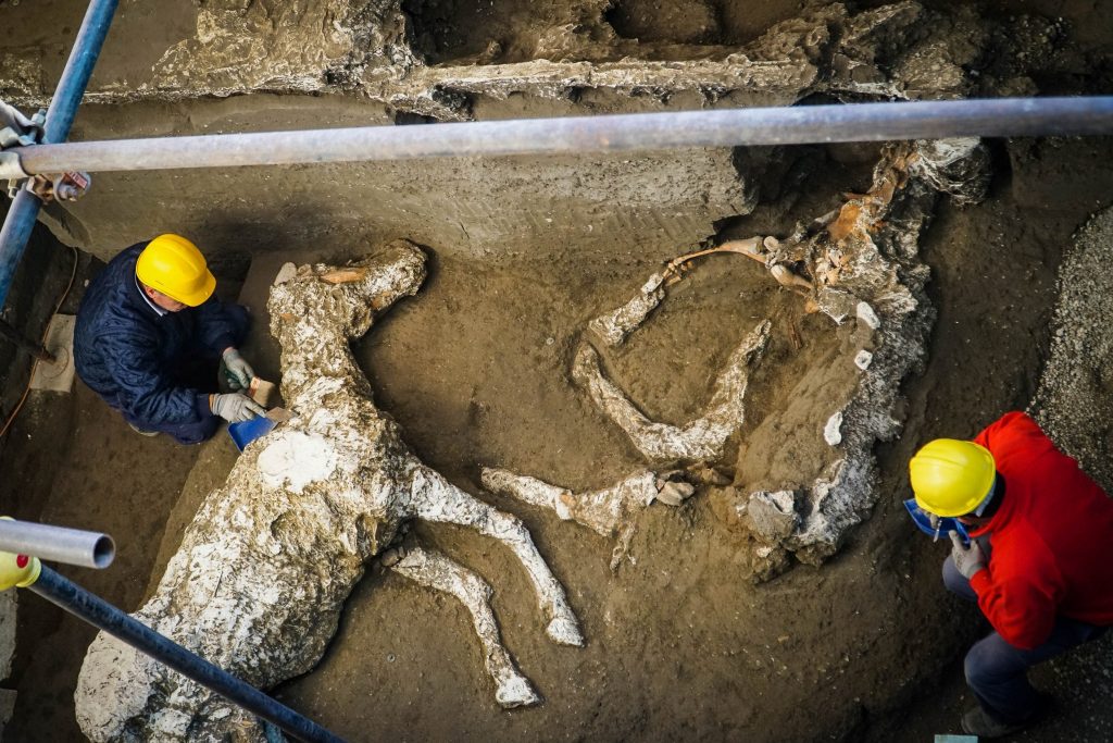 cavallo pompei 1