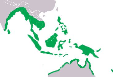 Areale di distribuzione del coccodrillo marino