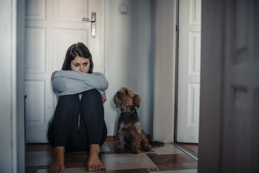 Anche lo stato emotivo dell’umano di riferimento influenza il cane superstite, che mangia meno e prova più paura