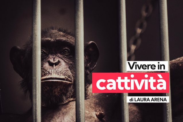 vivere in cattività
