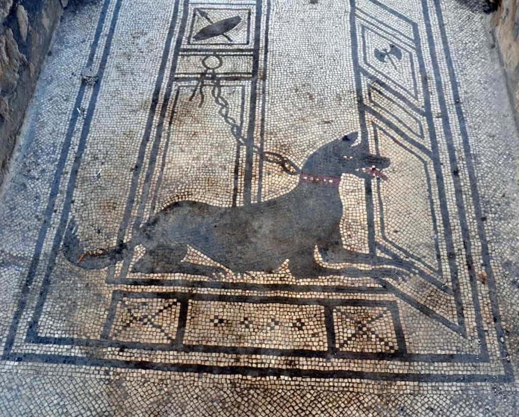 Casa di Pachio Proculo, cane a catena (credits: Sito ufficiale Parco Archeologico di Pompei)