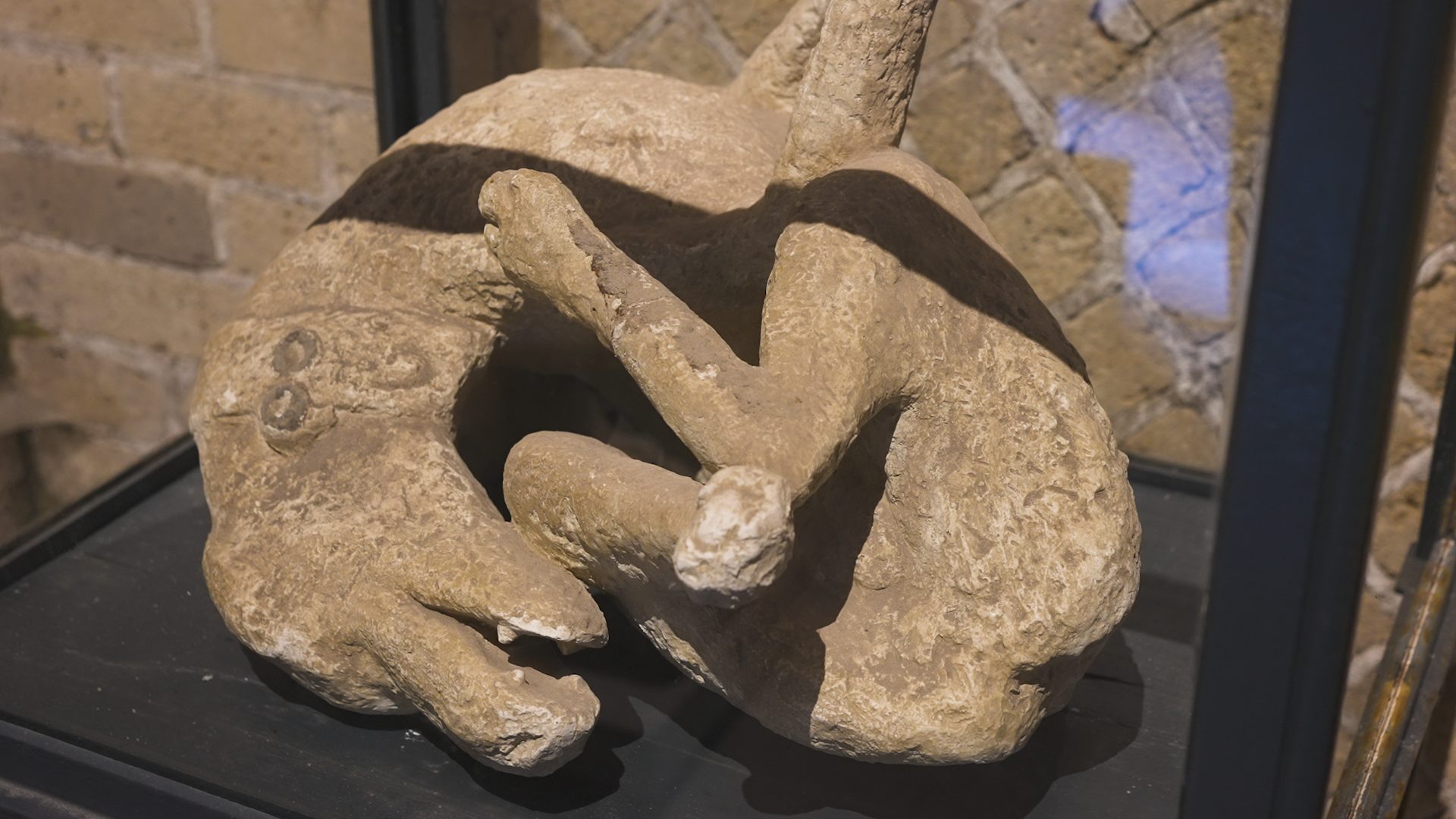 cane pompei