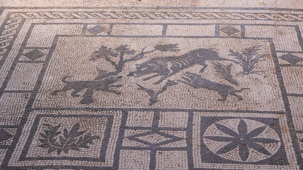 Casa del Cinghiale, il mosaico sul pavimento all’entrata