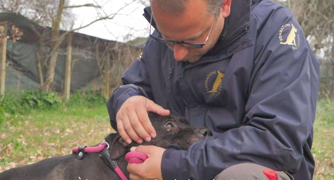 Mirko Zuccari della Fondazione Cave Canem con uno dei cani in salvo (credits:@HSI Italia)