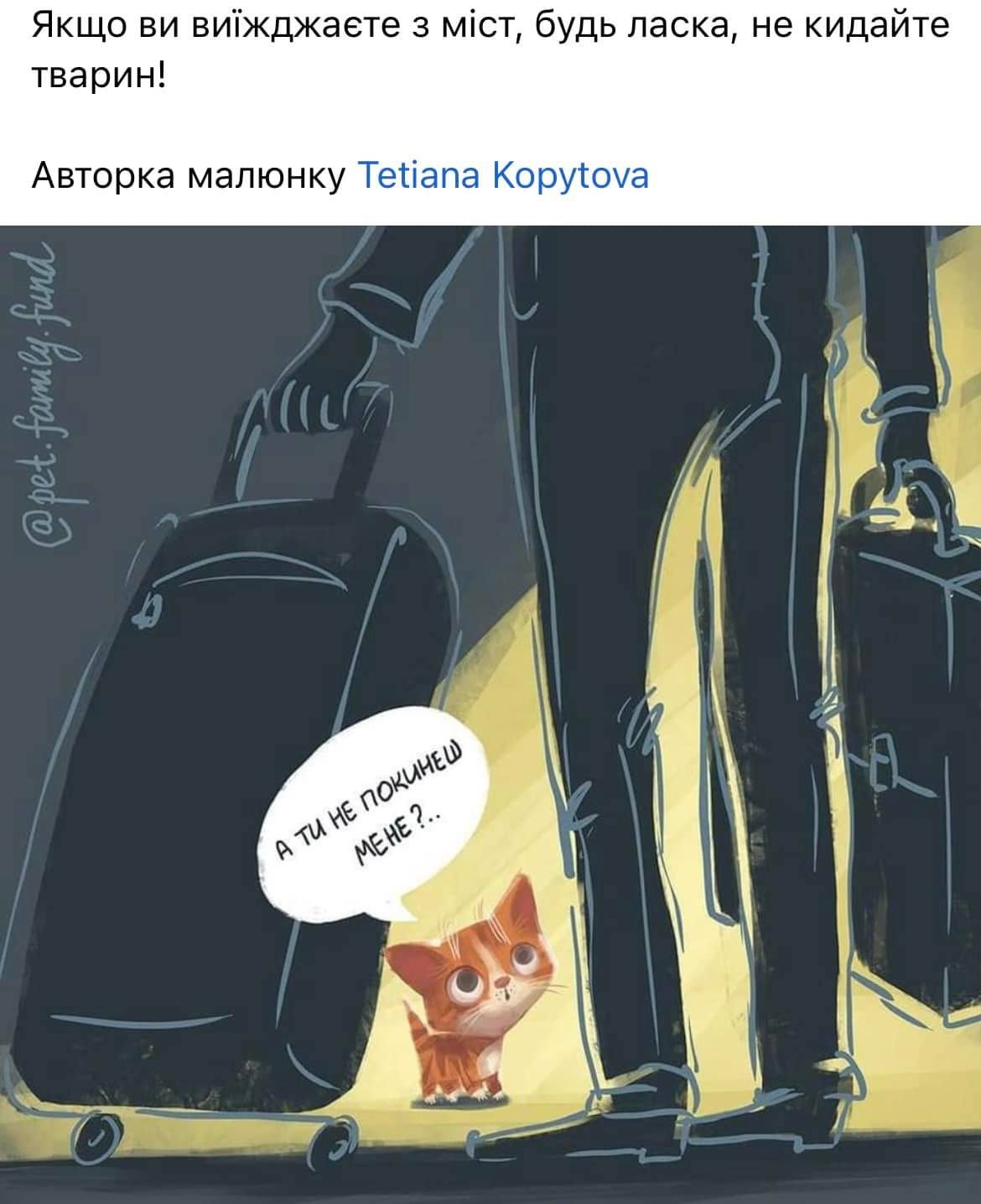animali ucraina guerra appello