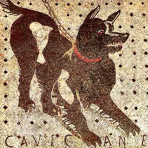 cave canem pompei
