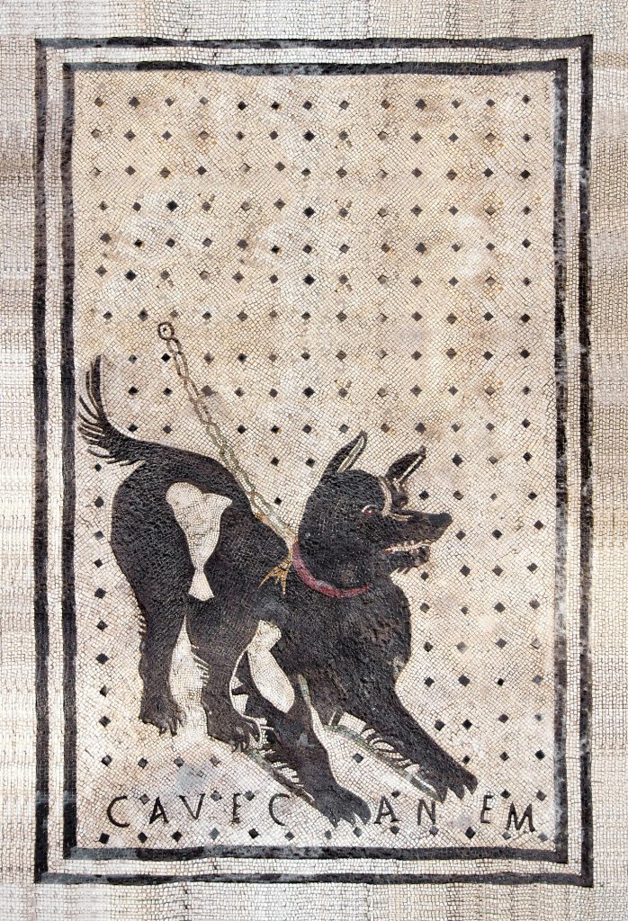 Casa del Poeta tragico, il famoso "Cave canem" (credits: Sito ufficiale Parco Archeologico di Pompei)