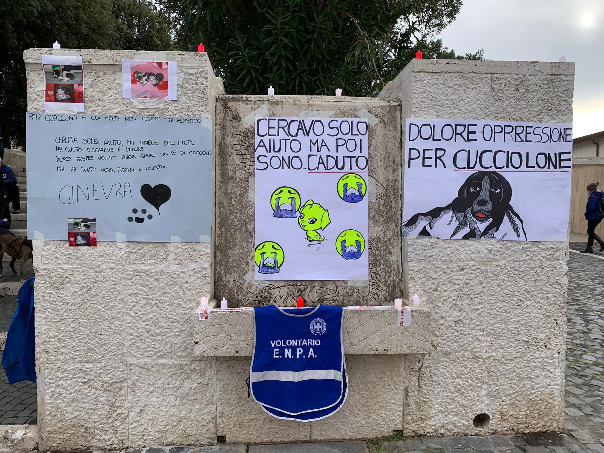 Credit: Enpa Roma