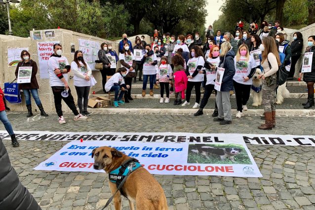 fiaccolata cucciolone