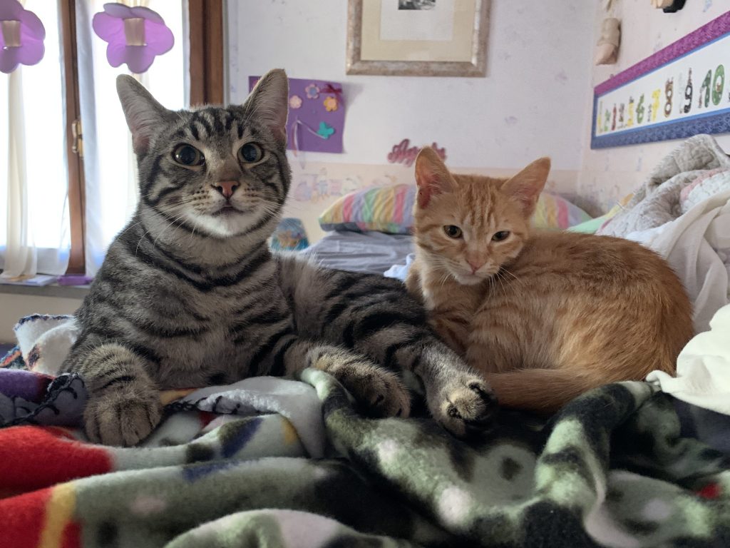 Sceriffa e Bandito