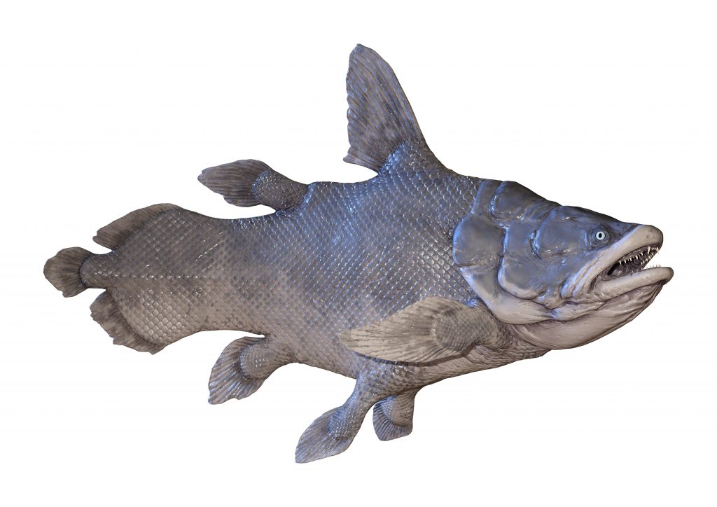 Celacanto