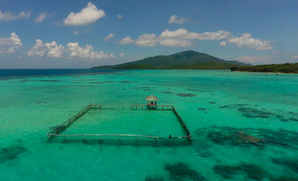 Il recinto marino del Camp Lumba Lumba dove i delfini vivono la loro ultima fase di riabilitazione prima della libertà (credit: Dolphin Project)