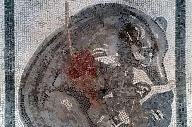 Pavimento a mosaico all’entrata della Casa dell’orso ferito (Credits: sito ufficiale del Parco Archeologico di Pompei)