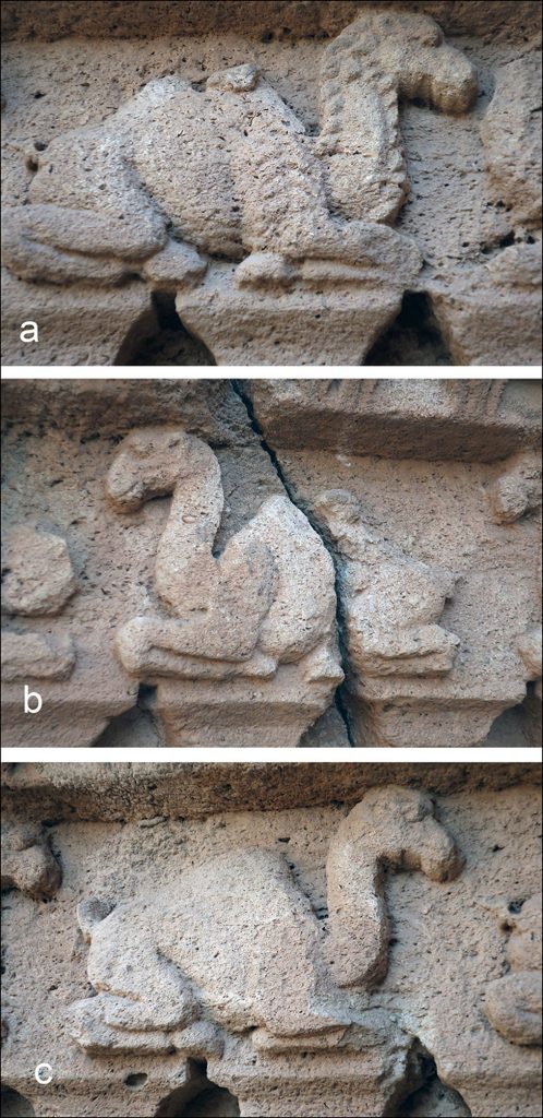 Comparazione tra i due cammelli o ibridi a due gobbe (a–b) e uno dei dromedari (c)