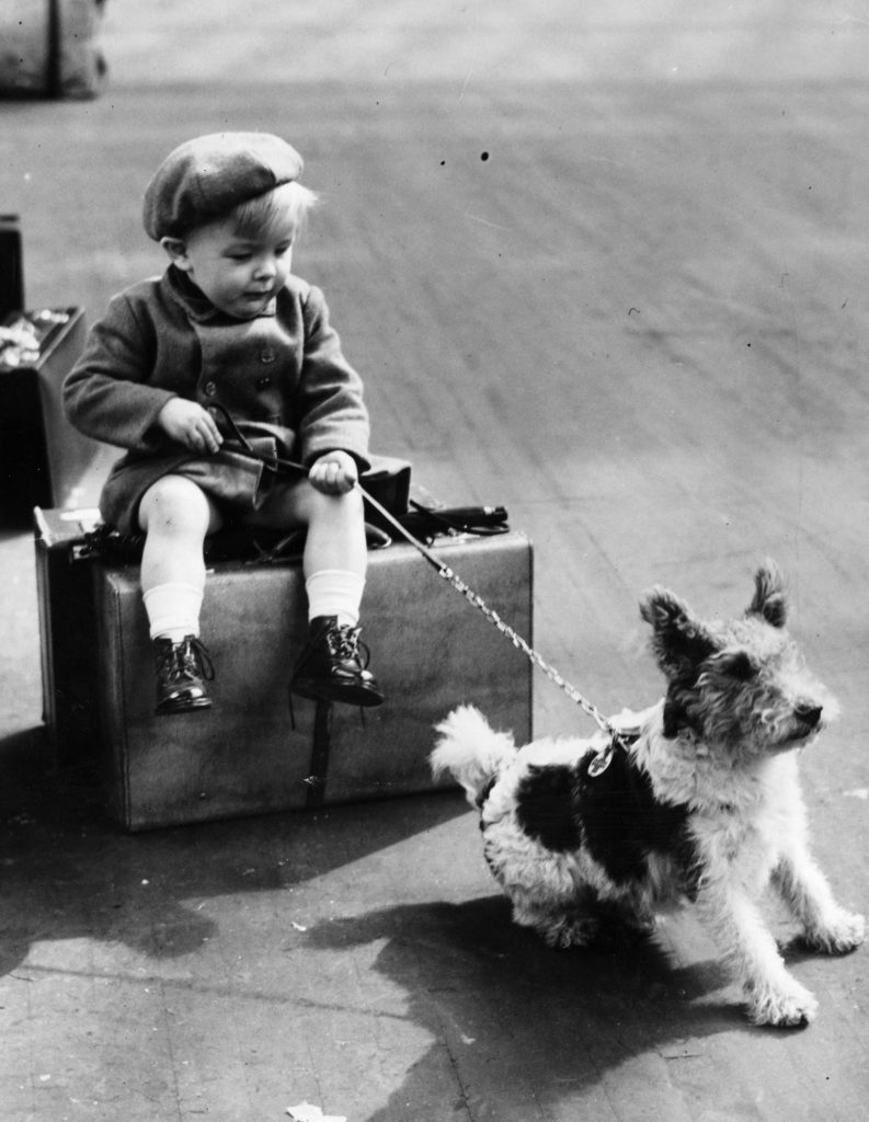 24 settembre 1940: un piccolo rifugiato e il suo cane in attesa dell’evacuazione