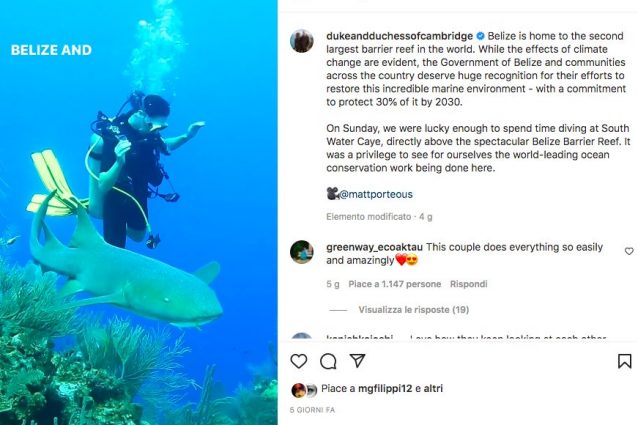 Paul Watson fondatore di Sea Shepherd e protagonista del fim Watson in arrivo nelle sale italiane