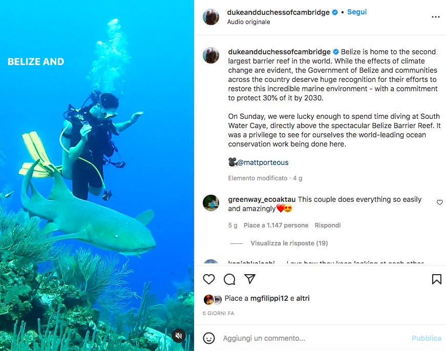 Kate Middelton in immersione fra gli squali in Belize insieme al marito William (foto dal loro profilo Instagram)