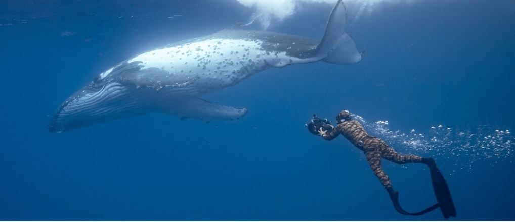 Una bellissima immagine dal film "Watson"
