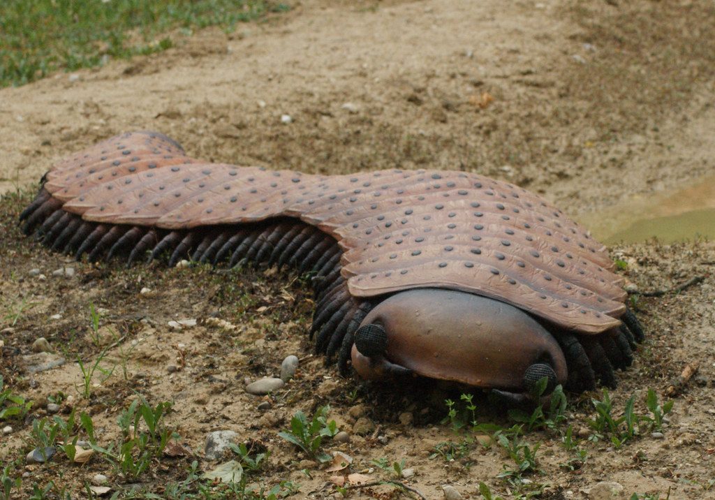 Ricostruzione di Arthropleura