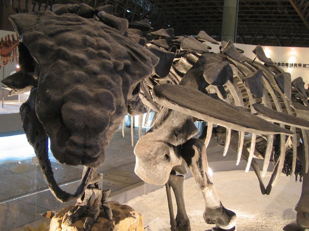Un dinosauro corazzato Thyreophora