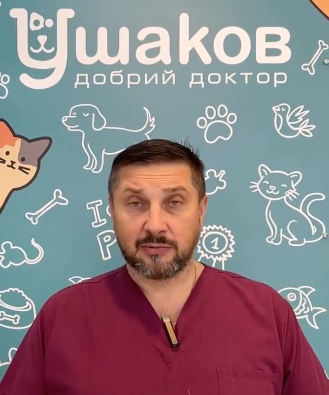Veterinari ucraini