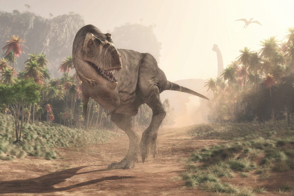 Un controverso studio precedente affermava che il leggendario T–rex era in realtà non una ma ben tre specie separate