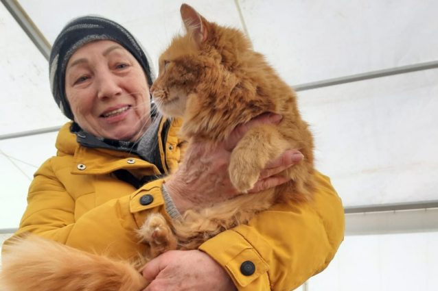 animali ucraina