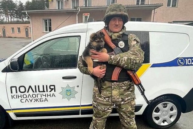 cane polizia ucraina