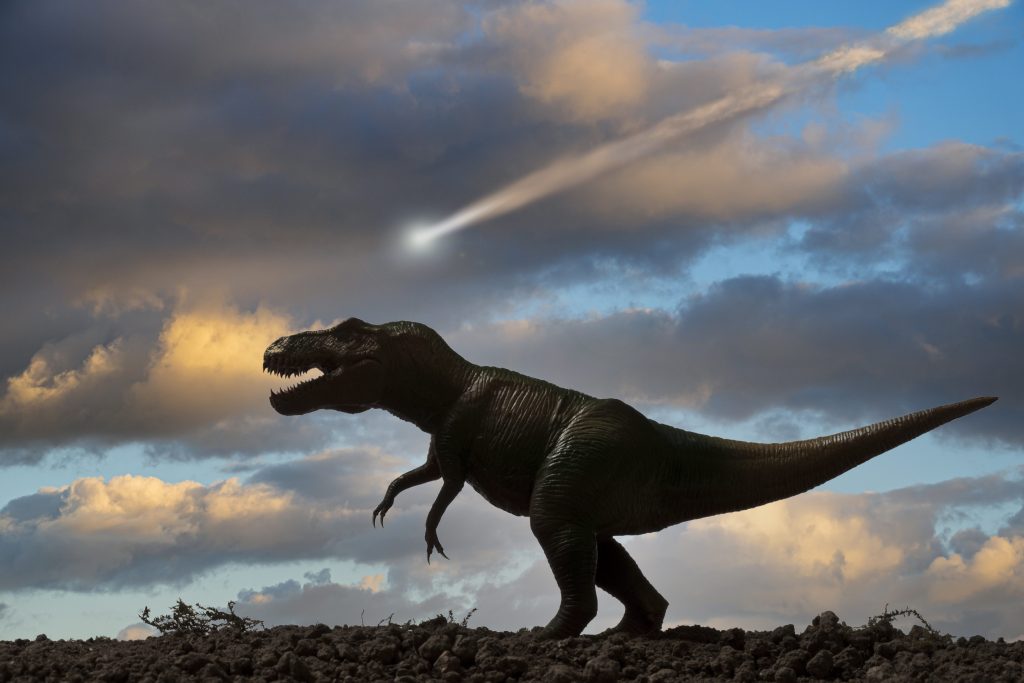 I tirannosauri sono animali esistiti in concomitanza con l’estinzione di massa avvenuta 65 milioni di anni fa