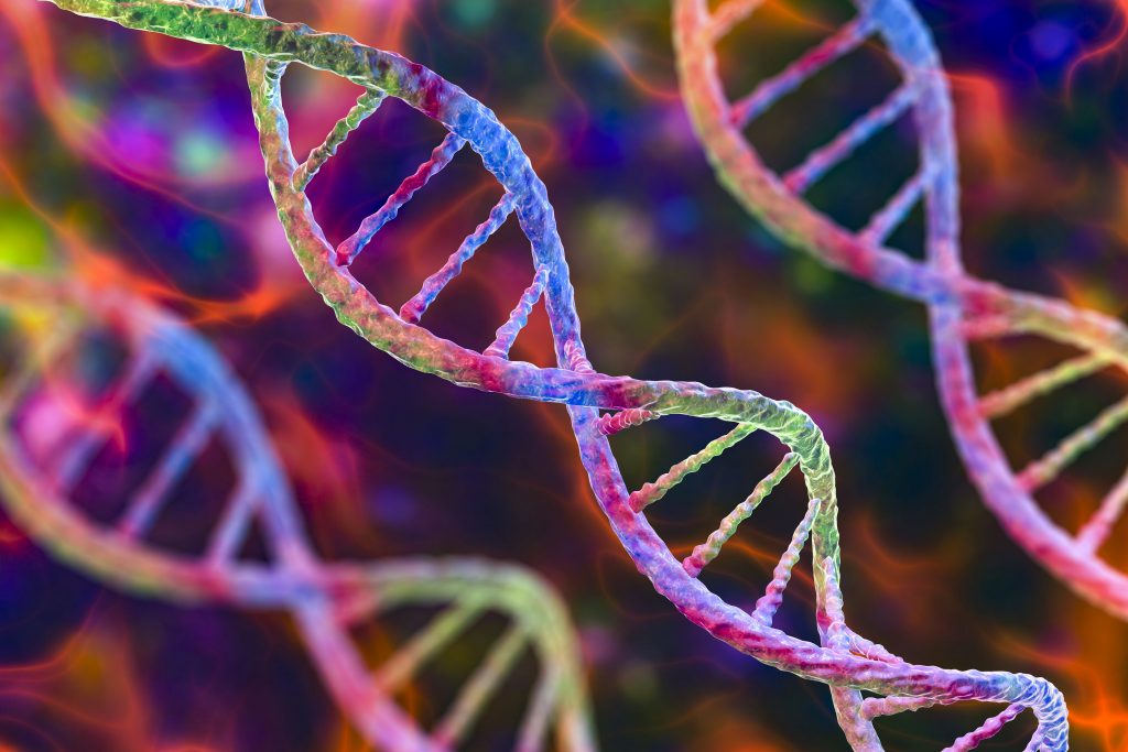 Eliche di DNA. Queste macromolecole organiche contengono le istruzioni per forma, funzione e comportamento delle cellule