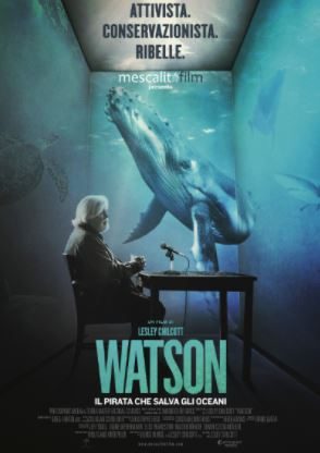 La locandina del film