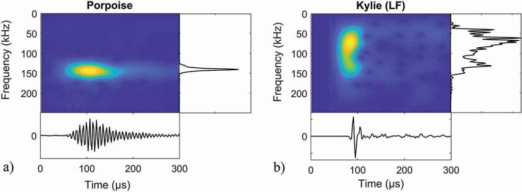 Esempi di spettrogrammi delle due specie. Crediti: Cosentino et al.