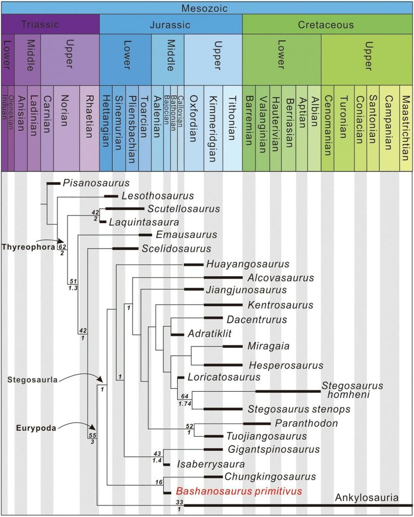Albero filogenetico degli stegosauri e dei loro parenti stretti. In rosso la nuova specie ritrovata