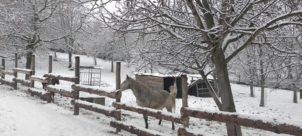 Inverno all’Eremo