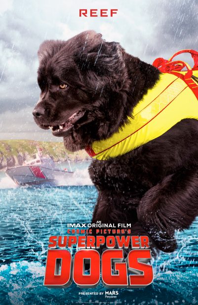 Il primo film giratos sui cani da salvataggio con Reef protagonista
